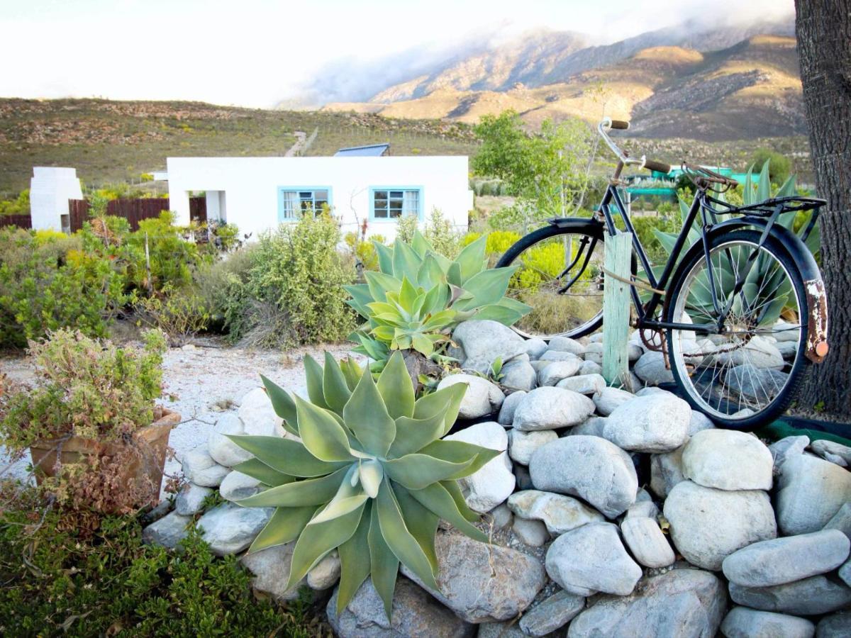 Starry Starry Night - Route 62 Montagu Exterior foto