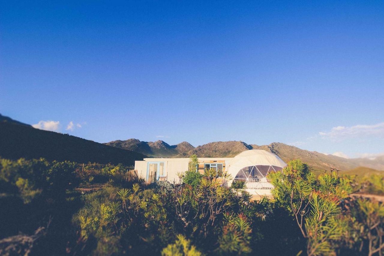 Starry Starry Night - Route 62 Montagu Exterior foto