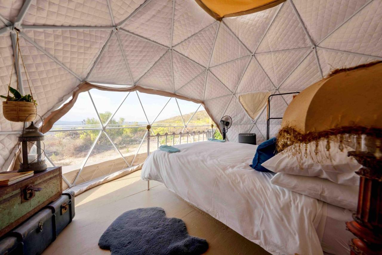 Starry Starry Night - Route 62 Montagu Exterior foto